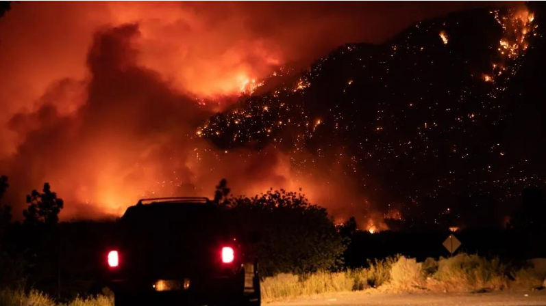 North American wildfires cause supply chain disruption risk, shipping company issues 96-hour delay(图3)